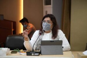 Realisasi PMA di Batam, Naik dari 171 Juta Dolar AS jadi 232 Juta Dolar AS