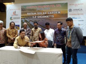 Calypte dan Terragama Bangun PLTS 1,2 Gigawatts Diekspor ke Singapura