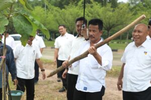 Rudi Tinjau Pohon Kayu Jati Emas, Mayoritas Tumbuh Baik