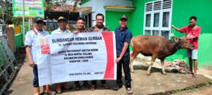 PT Gathrie Decconina Salurkan CSR, Kurban Satu Ekor Sapi ke Rantau Sialang