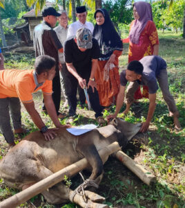 Kahanggi, Mora, dan Anak Boru Perantauan Parsarmaan Kurban 4 Ekor Sapi dan 3 Kambing
