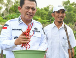Tekan Inflasi, Petani Cabai Diberi Bantuan Biar Produksi Maksimal