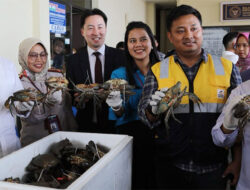 Batam Hebat, Ekspor Perdana Kepiting Bakau ke China