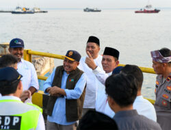 Ansar Tinjau Kelancaran Arus Mudik di Pelabuhan Roro Tanjunguban