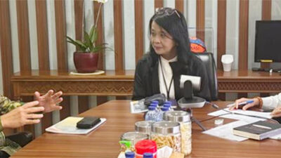 Ansar Temui Dirjen Cipta Karya Bahas Penataan Pulau Penyengat