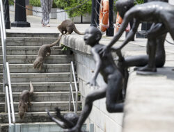 Singapura Hari Berang-Berang Sedunia