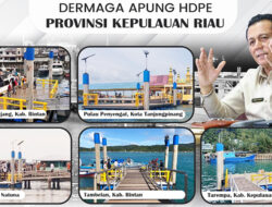Ansar Tegaskan Pemprov Kepri Terus Perbanyak Dermaga Apung HDPE