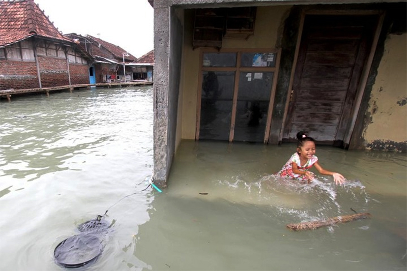 Berkunjung ke Timbulsloko, Desa yang Dikepung Air Laut di Demak, Jawa Tengah