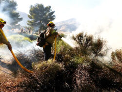 1.200 Orang Mengungsi Akibat Karhutla di California Selatan