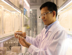 Ilmuwan China Ungkap Mekanisme Penciuman Serangga Bantu Kembangkan Pestisida Ramah Lingkungan