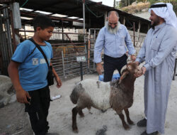 Yerusalem Persiapan Idul Adha
