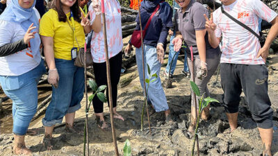 The Ascott Regional Batam Bersih-Bersih Pantai dan Tanam Mangrove di Tanjunguma