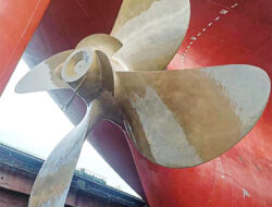 Kulit Lumba-Lumba Bionik Mampu Hemat Bahan Bakar Kapal Supertanker