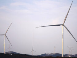 Semakin Banyak Perusahaan China Termotivasi Rambah Perdagangan Listrik Ramah Lingkungan