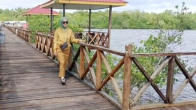 Kucurkan Dana Aspirasi Wisata Mangrove, Saksi Bisu Kecintaan Cen Sui Lan terhadap Natuna