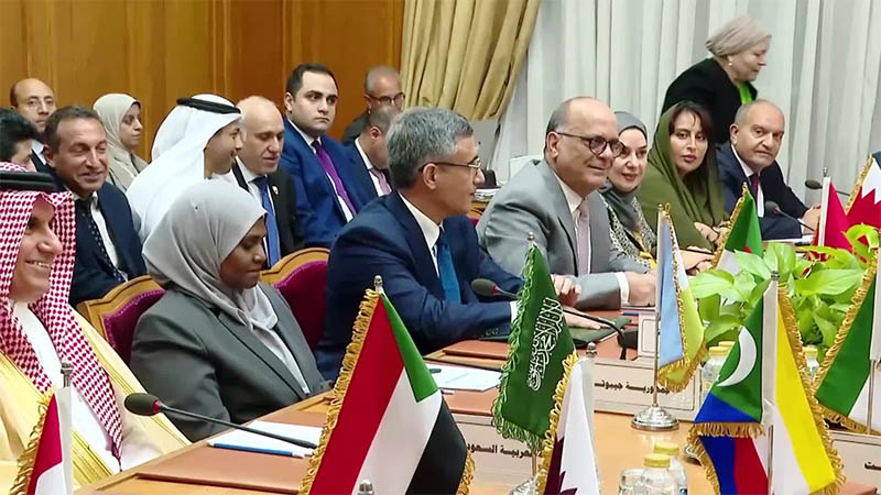 Gelar Sesi Darurat, Dewan Liga Arab Bahas Ancaman Israel terhadap Irak