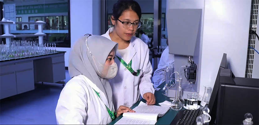 China-Indonesia Jalin Kerja Sama, Latih Tenaga Kerja Terampil bagi Industri Energi Baru dan Metalurgi