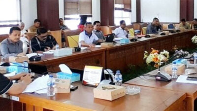 Lindungi Konten Lokal, SMSI Dorong DPR Percepat Revisi UU Penyiaran