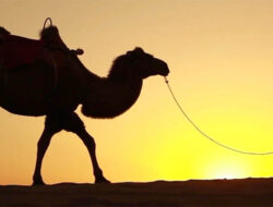 Menilik Kebangkitan Kota Dunhuang di China yang Kaya akan Peninggalan Budaya