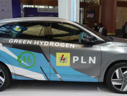 Gandeng Dongfang Electric China, PLN akan Percepat Pembangunan Hijau