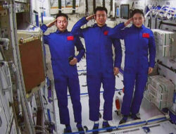 Benih Zaitun dari Stasiun Luar Angkasa China Bertunas di Bumi