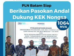 Listrik Jantung Pertumbuhan Ekonomi Digital, PLN Batam Siap Berikan Pasokan Andal Dukung KEK Nongsa