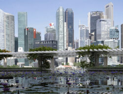 Survei: Hampir 70 Persen Perusahaan China di Singapura Nilai Iklim Bisnis “Sangat Baik”