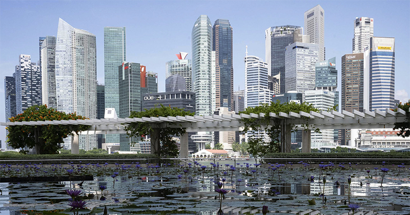 Survei: Hampir 70 Persen Perusahaan China di Singapura Nilai Iklim Bisnis "Sangat Baik"