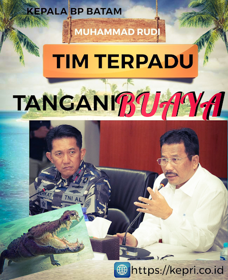 Rudi Bentuk Tim Terpadu, Bergerak Cepat Hadapi Ancaman Buaya Lepas di Pulau Bulan