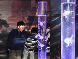 Museum Sains-Teknologi China Tarik 100 Juta Lebih Kunjungan pada 2024