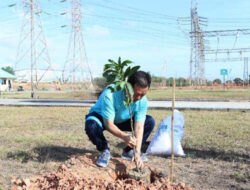 PLN Batam Rayakan Bulan K3 Nasional dengan Penanaman Pohon di Gardu Induk Tanjung Kasam