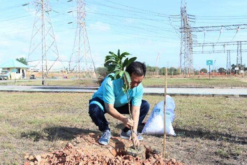 PLN Batam Rayakan Bulan K3 Nasional dengan Penanaman Pohon di Gardu Induk Tanjung Kasam