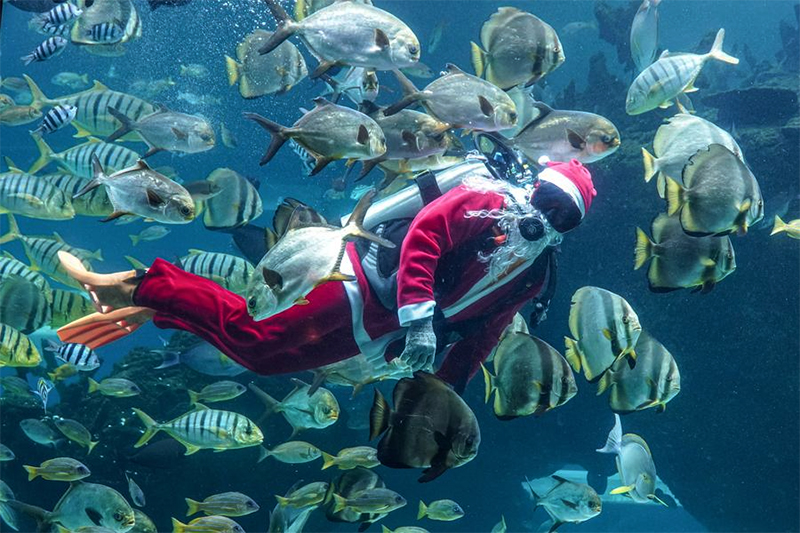 Indonesia Catat Lonjakan Wisatawan China, Targetkan 2 Juta Pengunjung pada 2025