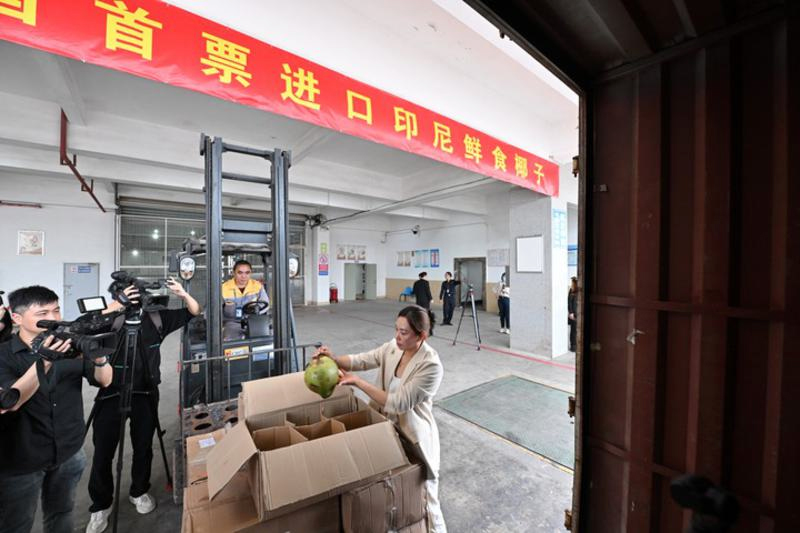 China Impor Batch Pertama Kelapa Segar dari Indonesia