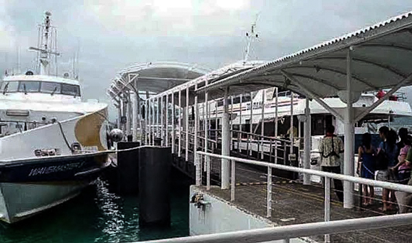 Polda Atensi Dugaan Penyelundupan Uang ke Luar Negeri dari Pelabuhan Harbour Bay