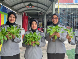 Panen Sayur Sawi Hidroponik, Bukti Nyata Program Lapas Perempuan Batam Dukung Asta Cita Presiden