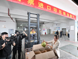 Menilik Prospek Kelapa Segar Indonesia di Pasar China