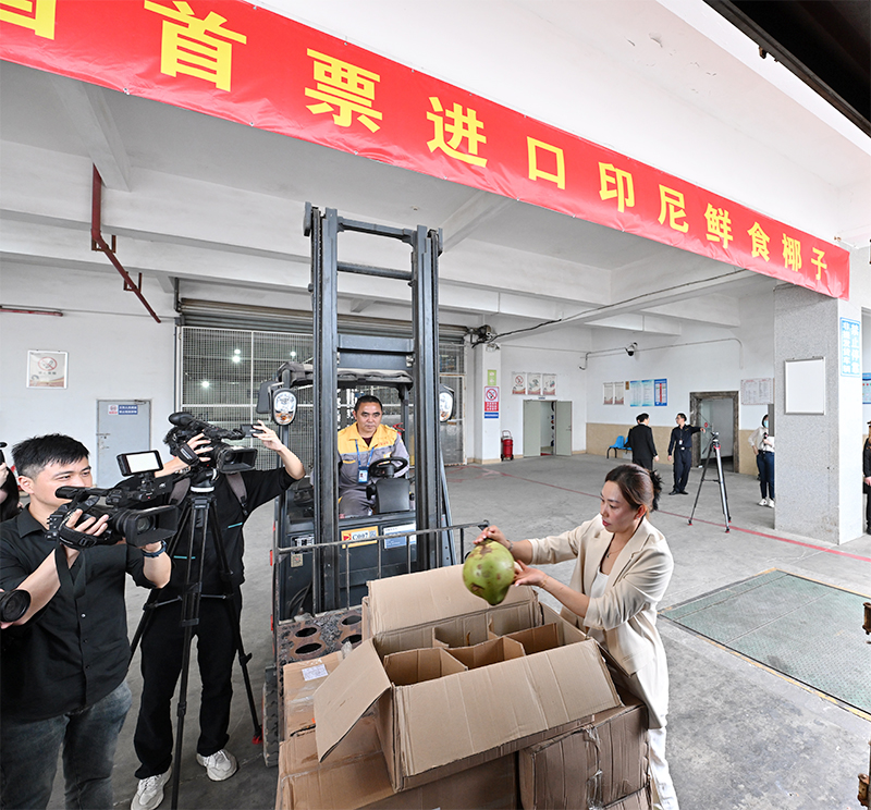 Menilik Prospek Kelapa Segar Indonesia di Pasar China
