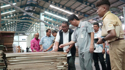 Bantu Masalah Investor, Deputi Bidang Investasi dan Pengusahaan BP Batam Kembali Datangi Kawasan Industri