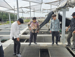 Proyek IPAL Batam Tembus 98%, BP Batam dan Mitra Korea Lakukan Monev: Siap Wujudkan Kota Industri Ramah Lingkungan