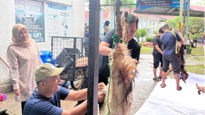 Kurban di Balik Jeruji, Satu Ekor Sapi dan Empat Ekor Kambing Disembelih di Lapas Perempuan Batam
