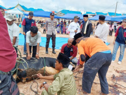 MEG dan AGP Pererat Tali Silaturahmi Lewat Kurban di Lima Titik Rempang-Galang