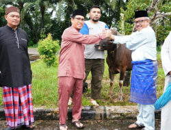 Sekda Jefridin Salat Ied di Masjid Baiturahman dan Berkurban di Tanjunguma