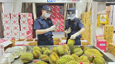 Menilik Prospek Durian Indonesia di Pasar China yang Luas