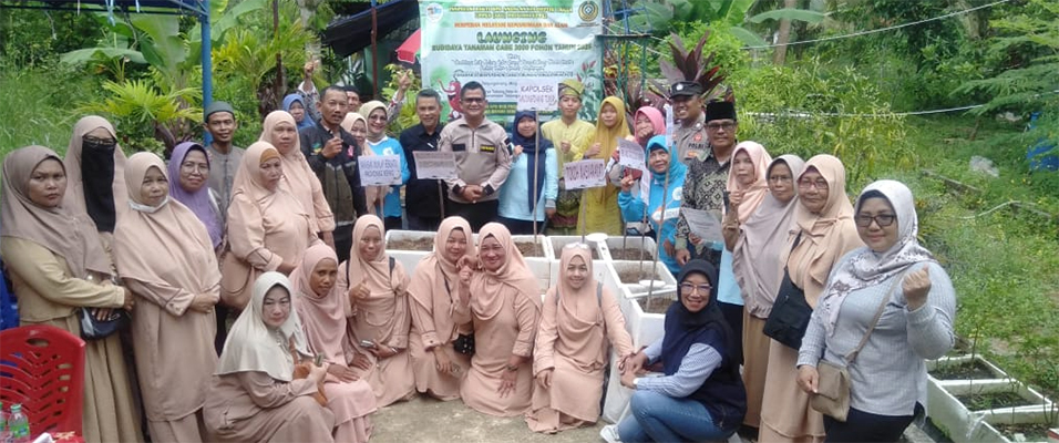 3.000 Bibit Cabai Disemai