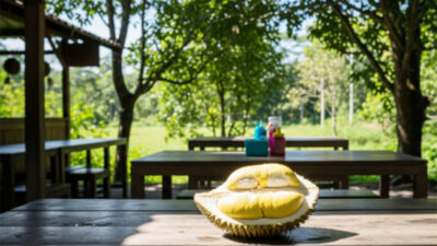 Menjajal Durian Yuyem Khas Semarang yang Belum Banyak Dikenal, Kapan Dapat Diekspor dan Memperoleh Devisa?
