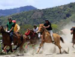 Serunya Joki Remaja Bertanding dalam Pacuan Kuda Tradisional di Aceh