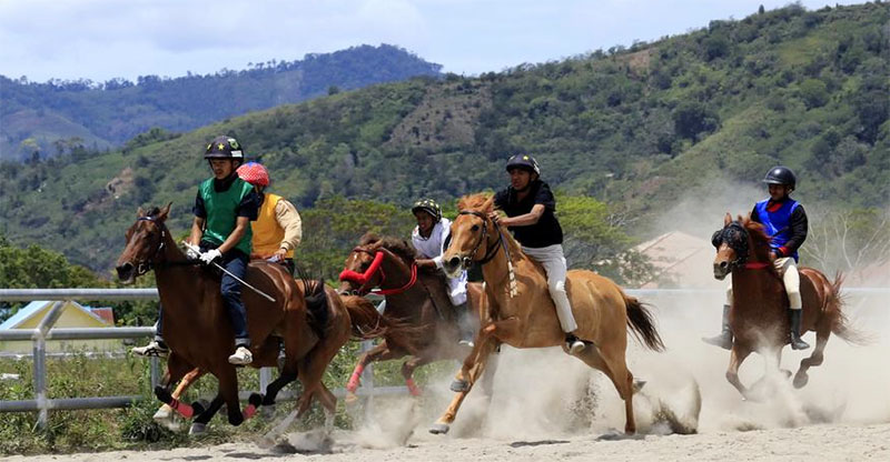 Serunya Joki Remaja Bertanding dalam Pacuan Kuda Tradisional di Aceh