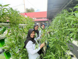 Dari Balik Jeruji, Tumbuh Harapan! Lapas Perempuan Batam Cetak Keahlian Mandiri, Dukung Ketahanan Pangan Bangsa