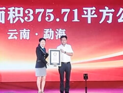 China Pecahkan Rekor Dunia Guinness untuk Perkebunan Teh Kuno Terbesar